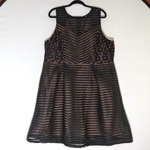 Maurices Dress Black Lace Sleeveless Fit and Flare